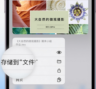 普宁apple维修中心分享iPhone文件应用中存储和找到下载文件