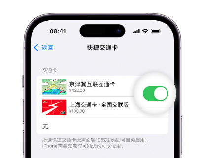 普宁apple维修点分享iPhone上更换Apple Pay快捷交通卡手绘卡面 