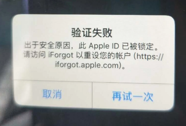 普宁iPhone维修分享iPhone上正常登录或使用AppleID怎么办 