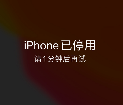 普宁苹果手机维修分享:iPhone 显示“不可用”或“已停用”怎么办？还能保留数据吗？ 