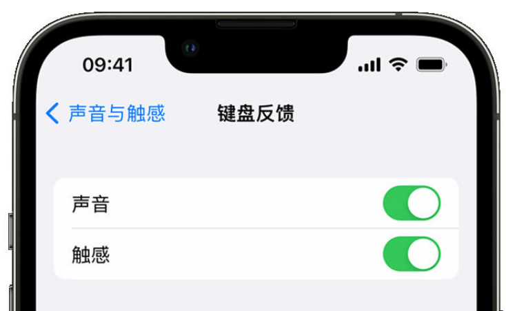 普宁苹果手机维修分享iPhone 14触感键盘使用方法 