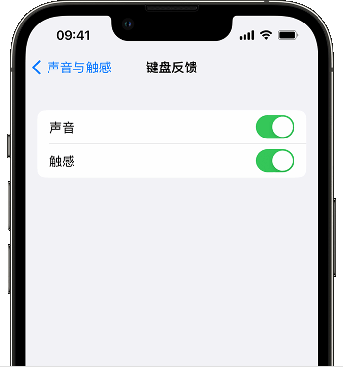 普宁苹果14维修店分享如何在 iPhone 14 机型中使用触感键盘 