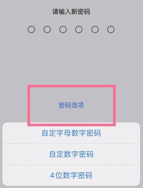 普宁苹果14维修分享iPhone 14plus设置密码的方法 