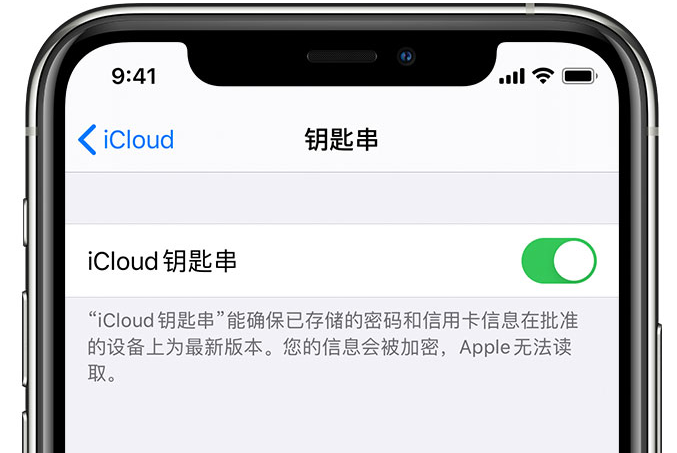 普宁苹果手机维修分享在 iPhone 上开启 iCloud 钥匙串之后会储存哪些信息 