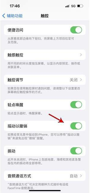 普宁苹果手机维修分享iPhone手机如何设置摇一摇删除文字 