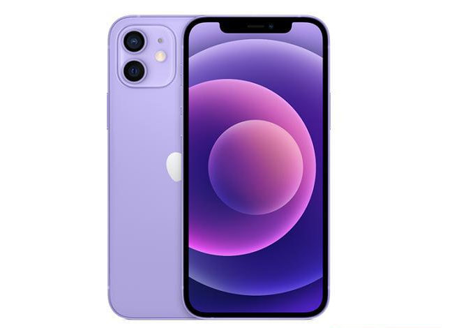 普宁苹果手机维修分享现阶段要不要入手紫色版iPhone12 