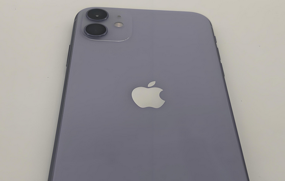 普宁苹果11系统维修分享iPhone11手机系统崩溃无法开机如何解决