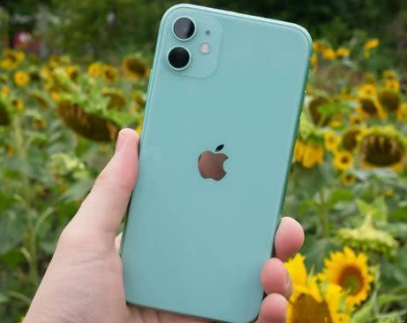 普宁苹果维修点分享iPhone 11锁屏密码认知与使用科普 